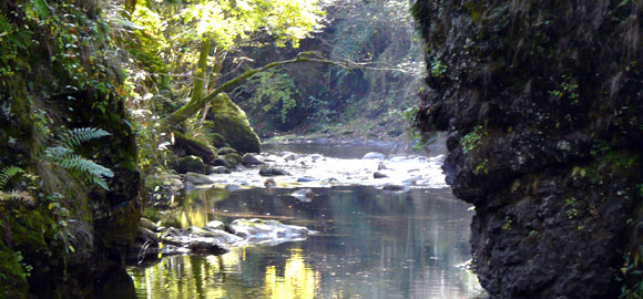 Les gorges de la Jordanne